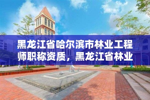 黑龙江省哈尔滨市林业工程师职称资质，黑龙江省林业工程评审条例