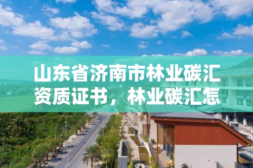 山东省济南市林业碳汇资质证书，林业碳汇怎么认证