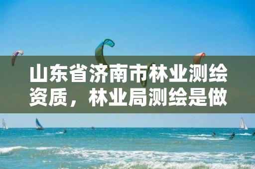 山东省济南市林业测绘资质，林业局测绘是做什么的