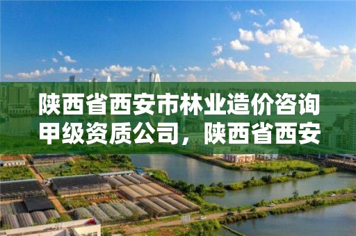 陕西省西安市林业造价咨询甲级资质公司，陕西省西安市林业造价咨询甲级资质公司有哪些