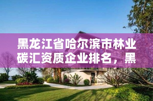 黑龙江省哈尔滨市林业碳汇资质企业排名，黑龙江省林业碳汇经济发展规划