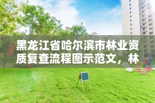 黑龙江省哈尔滨市林业资质复查流程图示范文，林业调查资质查询