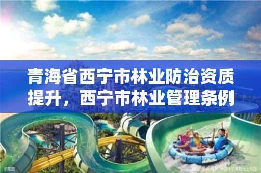 青海省西宁市林业防治资质提升，西宁市林业管理条例