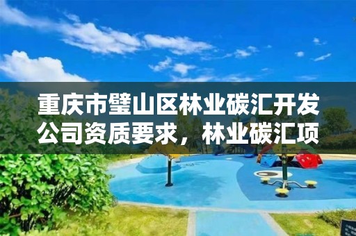 重庆市璧山区林业碳汇开发公司资质要求，林业碳汇项目公司