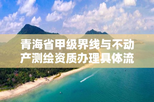 青海省甲级界线与不动产测绘资质办理具体流程是什么？