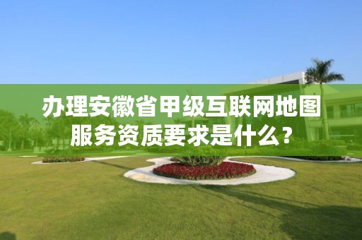 办理安徽省甲级互联网地图服务资质要求是什么？