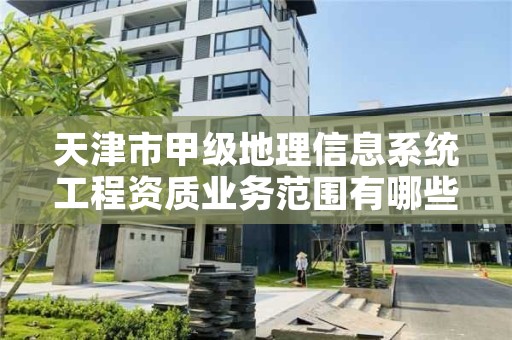 天津市甲级地理信息系统工程资质业务范围有哪些？