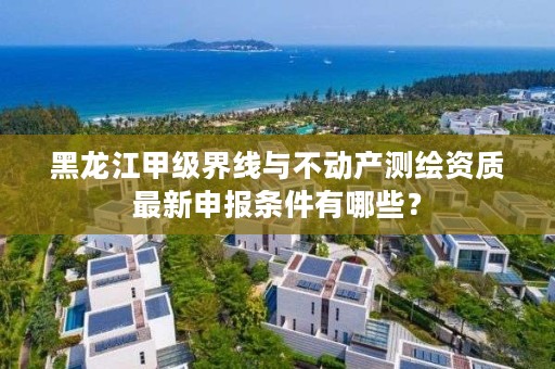 黑龙江甲级界线与不动产测绘资质最新申报条件有哪些？