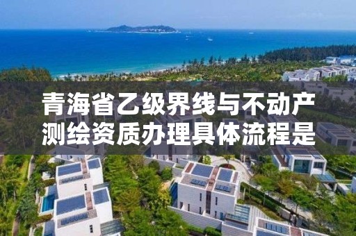 青海省乙级界线与不动产测绘资质办理具体流程是什么？