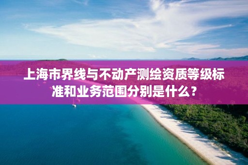 上海市界线与不动产测绘资质等级标准和业务范围分别是什么？