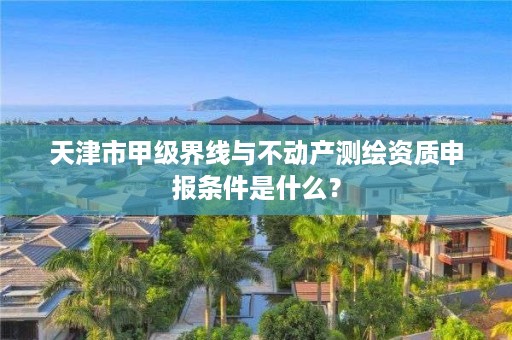 天津市甲级界线与不动产测绘资质申报条件是什么？