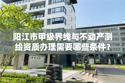 阳江市甲级界线与不动产测绘资质办理需要哪些条件？