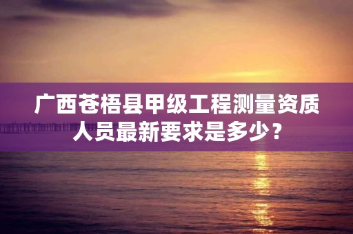 广西苍梧县甲级工程测量资质人员最新要求是多少？