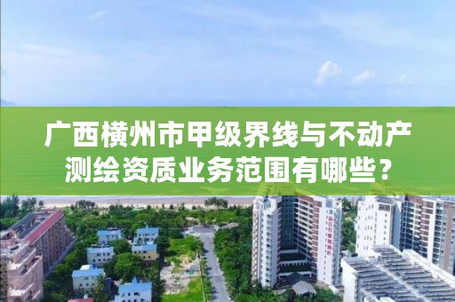 广西横州市甲级界线与不动产测绘资质业务范围有哪些？