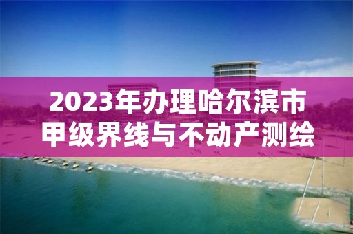 2023年办理哈尔滨市甲级界线与不动产测绘资质要求是什么？