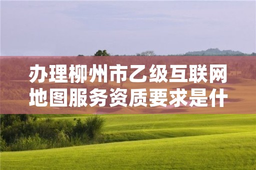 办理柳州市乙级互联网地图服务资质要求是什么呢？