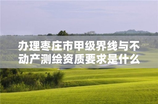 办理枣庄市甲级界线与不动产测绘资质要求是什么？