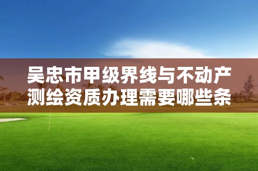 吴忠市甲级界线与不动产测绘资质办理需要哪些条件？