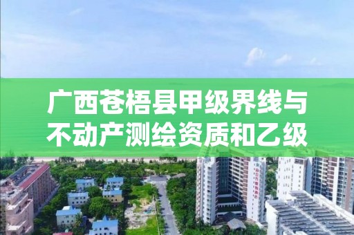 广西苍梧县甲级界线与不动产测绘资质和乙级资质的区别是什么？