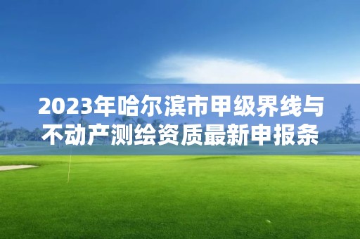 2023年哈尔滨市甲级界线与不动产测绘资质最新申报条件有哪些？