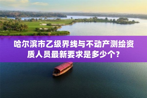 哈尔滨市乙级界线与不动产测绘资质人员最新要求是多少个？