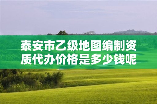 泰安市乙级地图编制资质代办价格是多少钱呢？