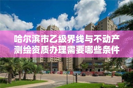 哈尔滨市乙级界线与不动产测绘资质办理需要哪些条件？