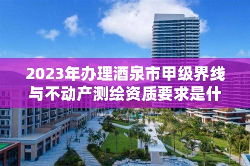 2023年办理酒泉市甲级界线与不动产测绘资质要求是什么？