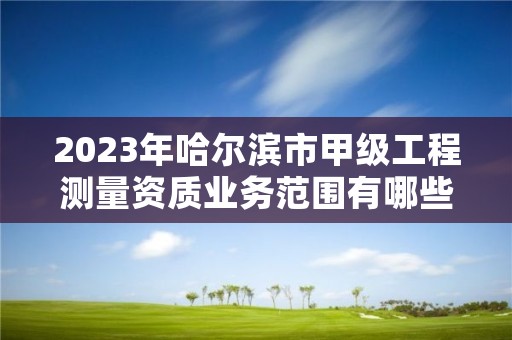 2023年哈尔滨市甲级工程测量资质业务范围有哪些？