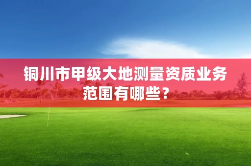 铜川市甲级大地测量资质业务范围有哪些？