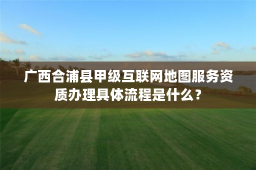 广西合浦县甲级互联网地图服务资质办理具体流程是什么？