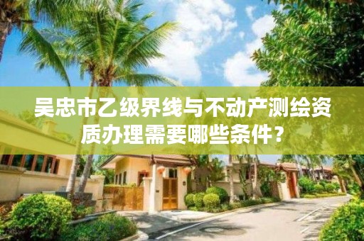 吴忠市乙级界线与不动产测绘资质办理需要哪些条件？