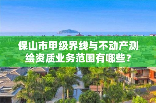 保山市甲级界线与不动产测绘资质业务范围有哪些？