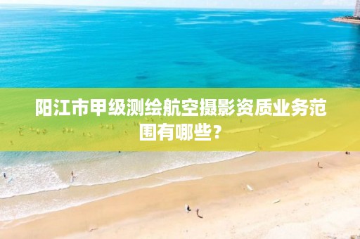 阳江市甲级测绘航空摄影资质业务范围有哪些？