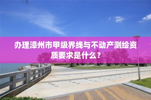 办理漳州市甲级界线与不动产测绘资质要求是什么？