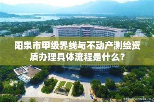 阳泉市甲级界线与不动产测绘资质办理具体流程是什么？