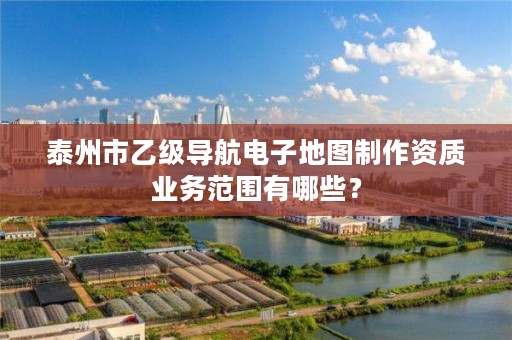 泰州市乙级导航电子地图制作资质业务范围有哪些？