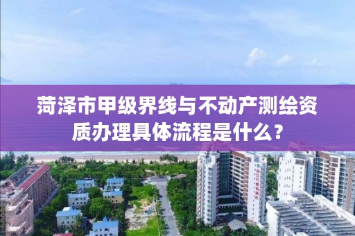 菏泽市甲级界线与不动产测绘资质办理具体流程是什么？