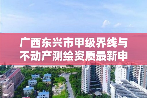 广西东兴市甲级界线与不动产测绘资质最新申报条件有哪些？