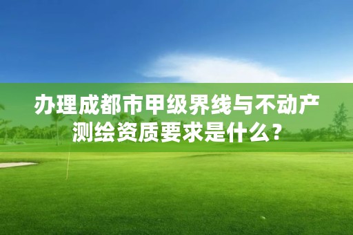 办理成都市甲级界线与不动产测绘资质要求是什么？