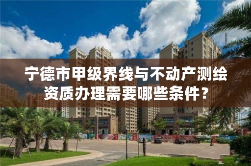 宁德市甲级界线与不动产测绘资质办理需要哪些条件？