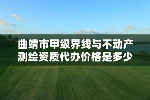 曲靖市甲级界线与不动产测绘资质代办价格是多少钱呢？