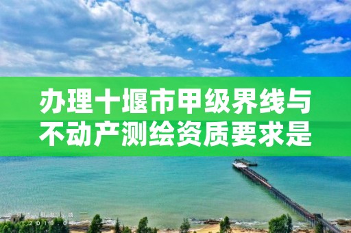 办理十堰市甲级界线与不动产测绘资质要求是什么？