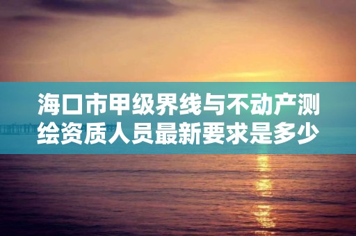 海口市甲级界线与不动产测绘资质人员最新要求是多少？