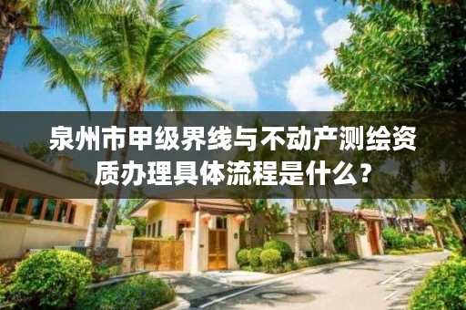 泉州市甲级界线与不动产测绘资质办理具体流程是什么？