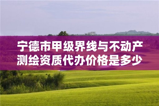 宁德市甲级界线与不动产测绘资质代办价格是多少钱呢？