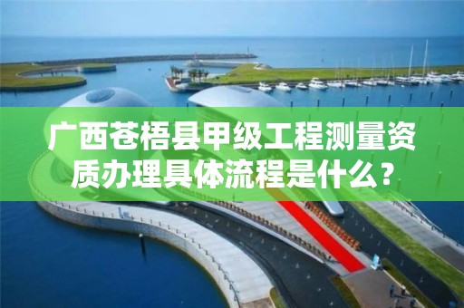 广西苍梧县甲级工程测量资质办理具体流程是什么？