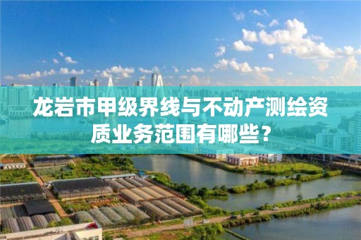 龙岩市甲级界线与不动产测绘资质业务范围有哪些？