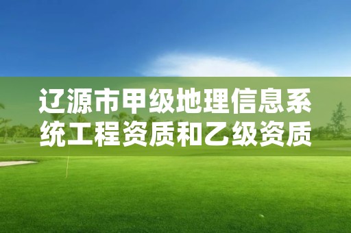 辽源市甲级地理信息系统工程资质和乙级资质的区别是什么？