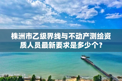 株洲市乙级界线与不动产测绘资质人员最新要求是多少个？